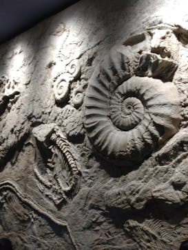 名古屋港水族館に投稿された画像（2023/8/9）