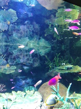 サンシャイン水族館に投稿された画像（2023/8/9）