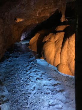 おきなわワールドに投稿された画像（2023/8/9）