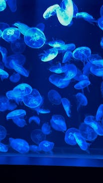 AOAO SAPPOROに投稿された画像（2023/8/9）