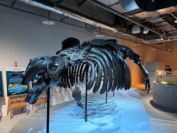 AOAO SAPPOROに投稿された画像（2023/8/9）