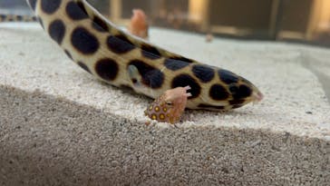 AOAO SAPPOROに投稿された画像（2023/8/9）