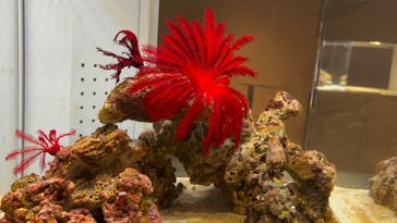 AOAO SAPPOROに投稿された画像（2023/8/9）