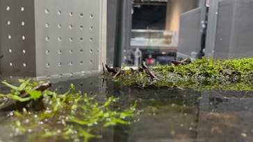 AOAO SAPPOROに投稿された画像（2023/8/9）