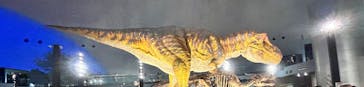 福井県立恐竜博物館に投稿された画像（2023/8/9）