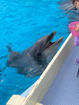 マリンワールド海の中道に投稿された画像（2023/8/9）