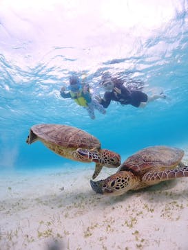 CHAMP TOUR　宮古島に投稿された画像（2023/8/9）