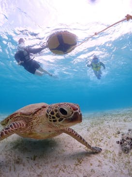CHAMP TOUR　宮古島に投稿された画像（2023/8/9）