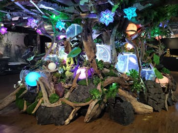 NARA IKIMONO MUSEUMに投稿された画像（2023/8/9）