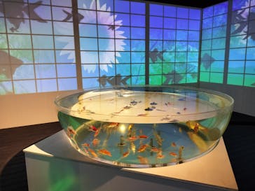 NARA IKIMONO MUSEUMに投稿された画像（2023/8/9）