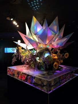 NARA IKIMONO MUSEUMに投稿された画像（2023/8/9）