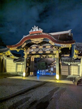 NAKED meets 二条城 2025 観月に投稿された画像（2023/8/9）