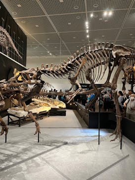 大阪市立自然史博物館に投稿された画像（2023/8/9）