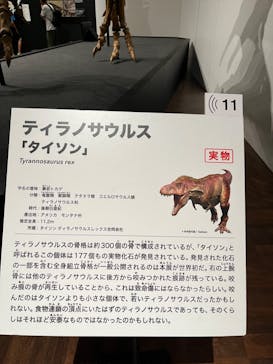 大阪市立自然史博物館に投稿された画像（2023/8/9）