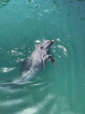 伊豆・三津シーパラダイスに投稿された画像（2023/8/9）