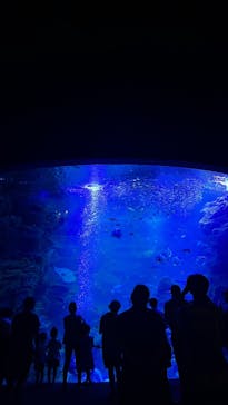 京都水族館に投稿された画像（2023/8/9）