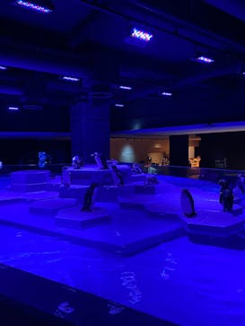 AOAO SAPPOROに投稿された画像（2023/8/9）