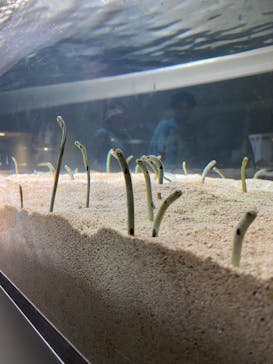 AOAO SAPPOROに投稿された画像（2023/8/9）