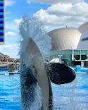 名古屋港水族館に投稿された画像（2023/8/10）
