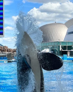 名古屋港水族館に投稿された画像（2023/8/9）