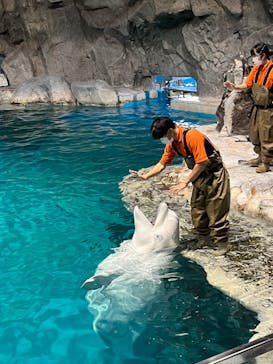 名古屋港水族館に投稿された画像（2023/8/9）
