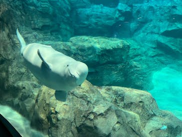 名古屋港水族館に投稿された画像（2023/8/9）