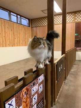 那須どうぶつ王国に投稿された画像（2023/8/9）