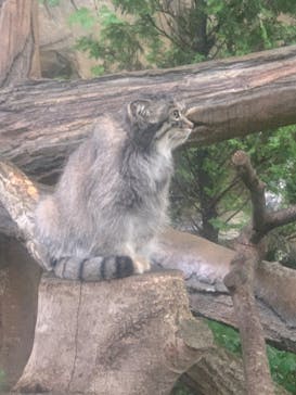 那須どうぶつ王国に投稿された画像（2023/8/9）