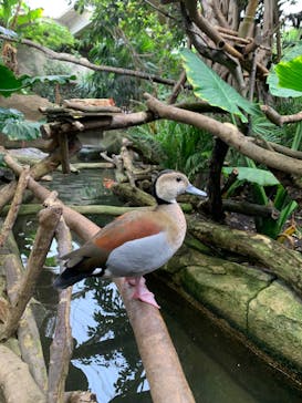 那須どうぶつ王国に投稿された画像（2023/8/9）