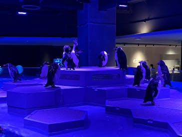 AOAO SAPPOROに投稿された画像（2023/8/9）