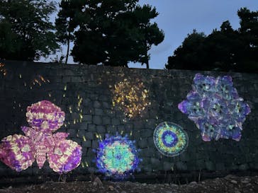 NAKED meets 二条城 2025 観月に投稿された画像（2023/8/9）