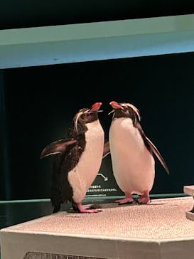 AOAO SAPPOROに投稿された画像（2023/8/9）