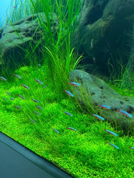 AOAO SAPPOROに投稿された画像（2023/8/9）