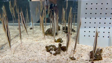 AOAO SAPPOROに投稿された画像（2023/8/9）