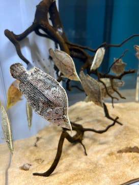 AOAO SAPPOROに投稿された画像（2023/8/9）