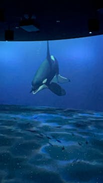 AOAO SAPPOROに投稿された画像（2023/8/9）