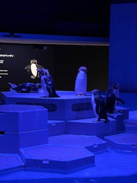 AOAO SAPPOROに投稿された画像（2023/8/9）