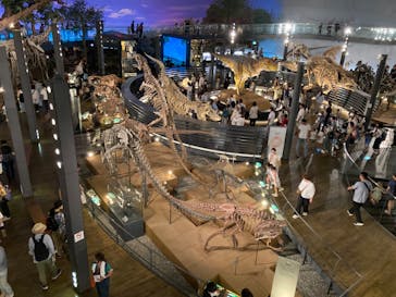 福井県立恐竜博物館に投稿された画像（2023/8/9）