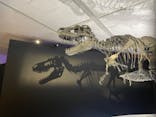 DinoScience 恐竜科学博 2023@TOKYO MIDTOWNに投稿された画像（2023/8/10）