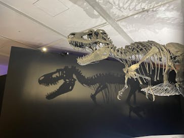 DinoScience 恐竜科学博 2023@TOKYO MIDTOWNに投稿された画像（2023/8/10）