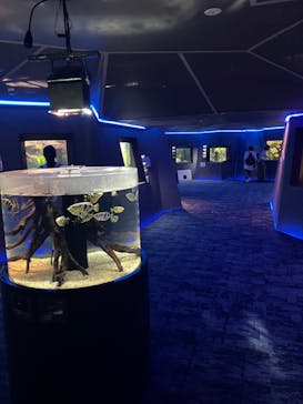 カワスイ 川崎⽔族館に投稿された画像（2023/8/10）