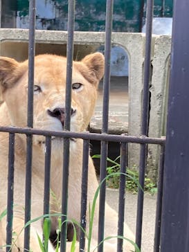 東北サファリパークに投稿された画像（2023/8/10）