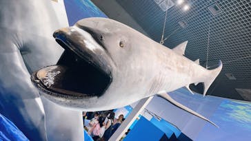 特別展「海　―生命のみなもと―」（国立科学博物館）に投稿された画像（2023/8/10）