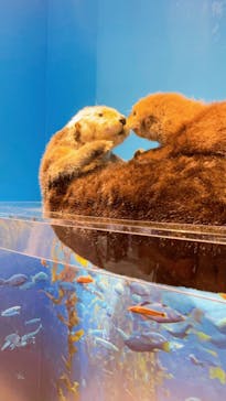 特別展「海　―生命のみなもと―」（国立科学博物館）に投稿された画像（2023/8/10）