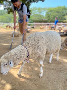 成田ゆめ牧場に投稿された画像（2023/8/10）