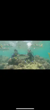 武藤潜水に投稿された画像（2023/8/10）