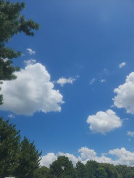 川越水上公園（埼玉県公園緑地協会）に投稿された画像（2023/8/10）