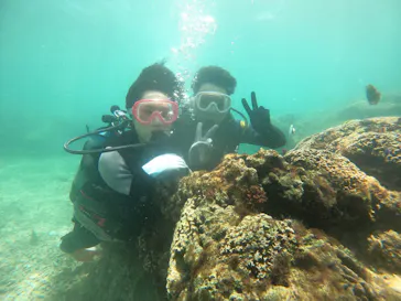 武藤潜水に投稿された画像（2023/8/10）