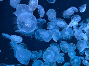 AOAO SAPPOROに投稿された画像（2023/8/10）