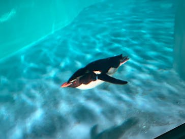 AOAO SAPPOROに投稿された画像（2023/8/10）